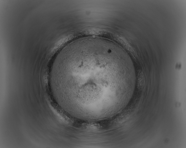 X0000091650683200708231222