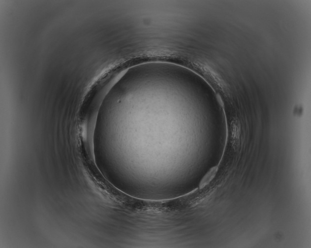 X0000091650684200708231222
