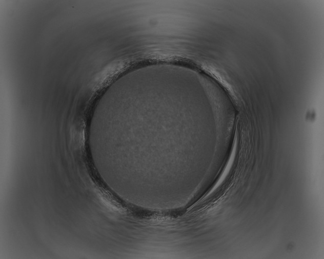 X0000091650685200708231222
