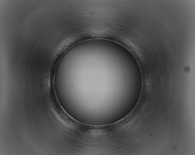 X0000091650686200708231222