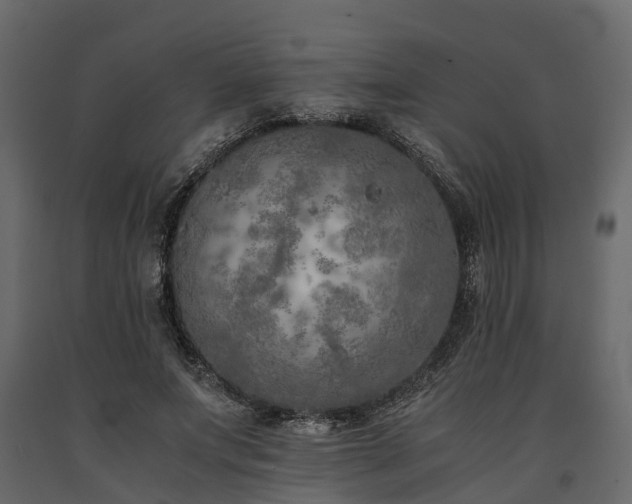 X0000091650687200708231221