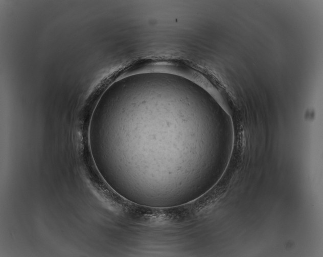 X0000091650688200708231221