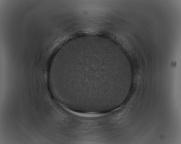 X0000091650689200708231221
