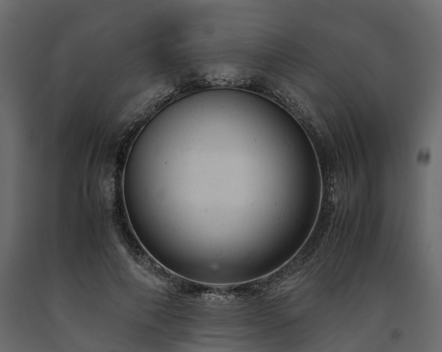 X0000091650690200708231221