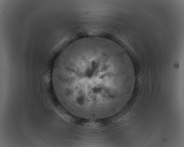 X0000091650691200708231221