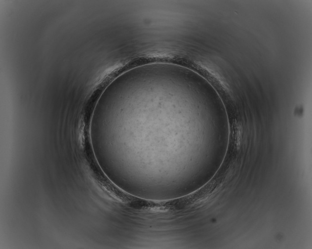 X0000091650692200708231221