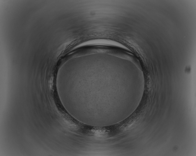 X0000091650693200708231221