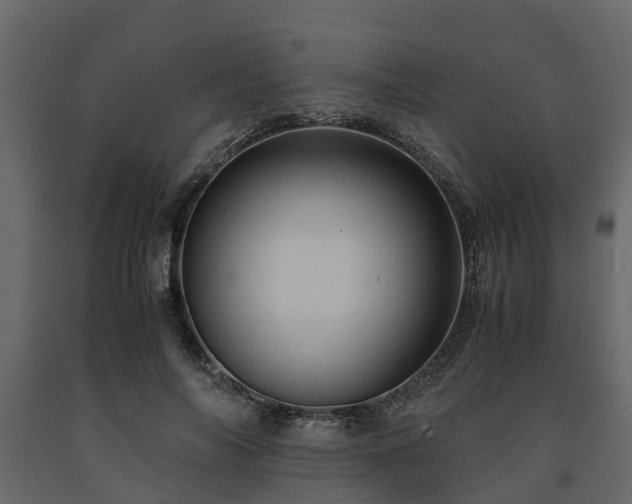 X0000091650694200708231221