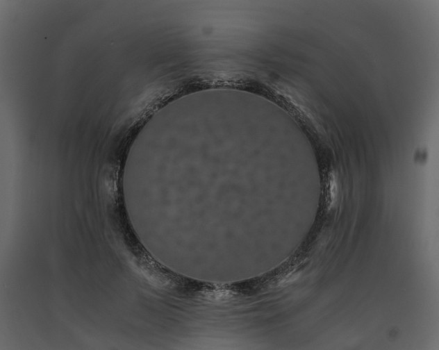 X0000091650695200708231221