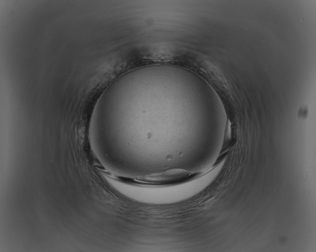 X0000091650697200708231221