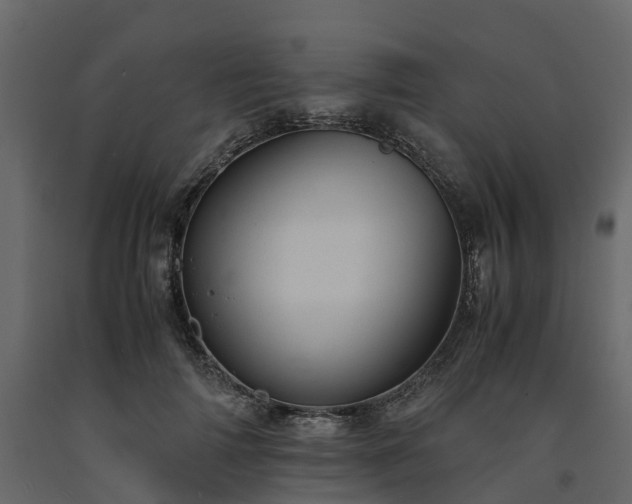 X0000091650698200708231221