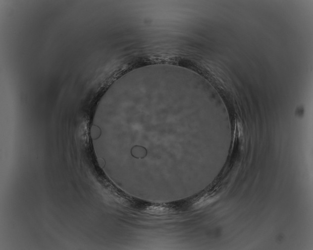 X0000091650699200708231221