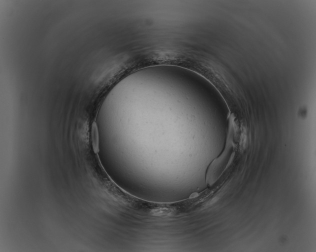 X0000091650700200708231221