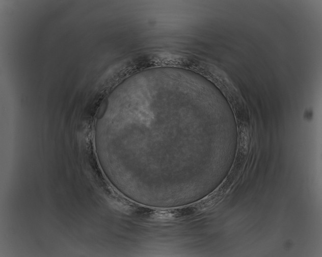 X0000091650701200708231221