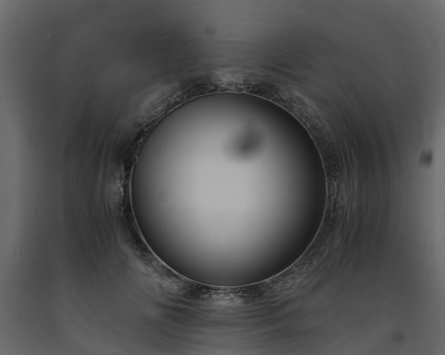 X0000091650702200708231221