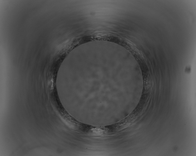 X0000091650703200708231221