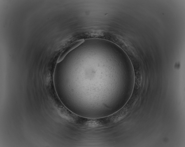 X0000091650704200708231221