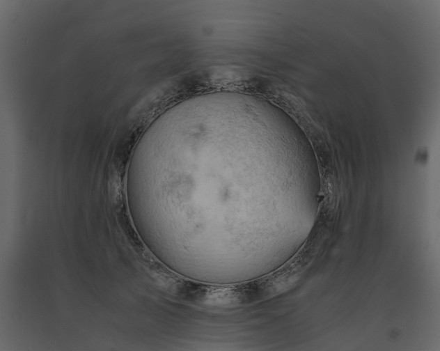 X0000091650705200708231221