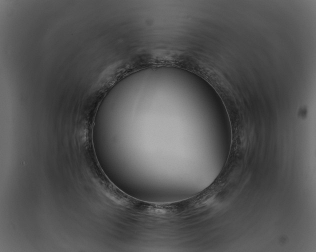 X0000091650706200708231221