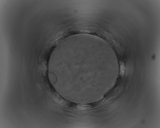 X0000091650707200708231221