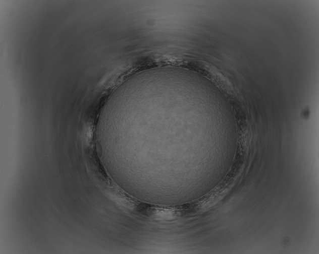 X0000091650709200708231221