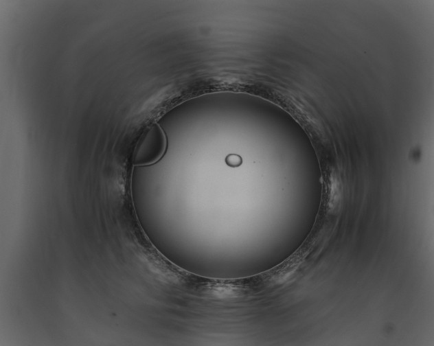X0000091650710200708231221