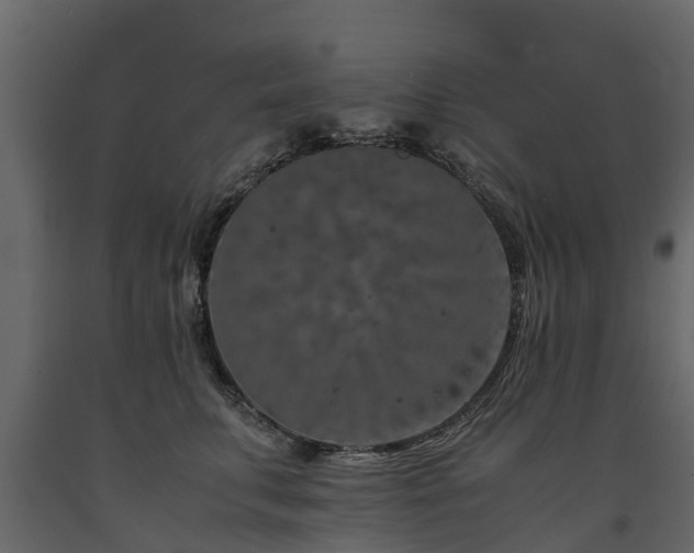 X0000091650711200708231221