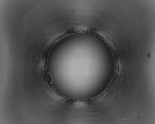 X0000091650714200708231221