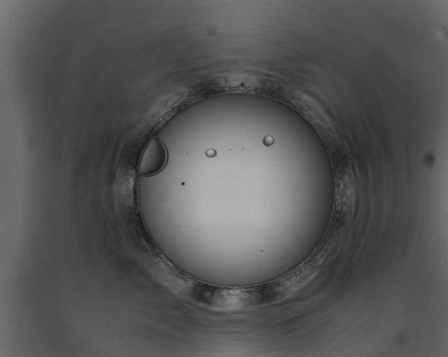 X0000091650717200708231221