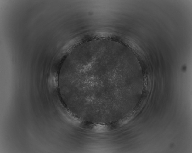 X0000091650718200708231221