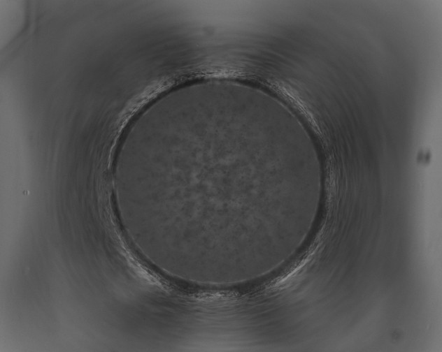 X0000091650721200708231220