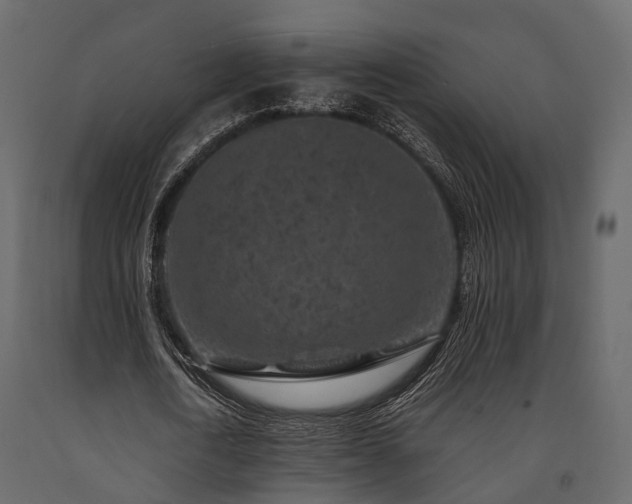 X0000091650722200708231220