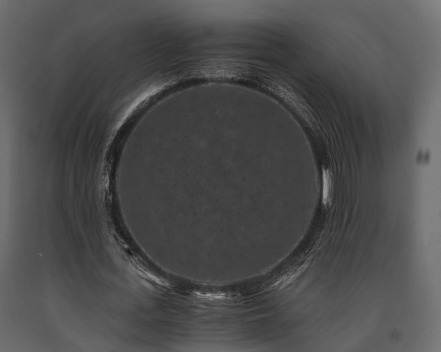 X0000091650723200708231220