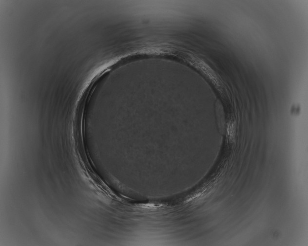 X0000091650724200708231220
