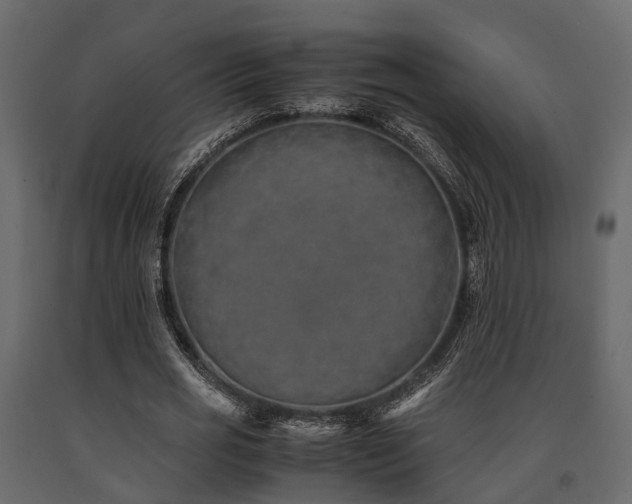 X0000091650725200708231220