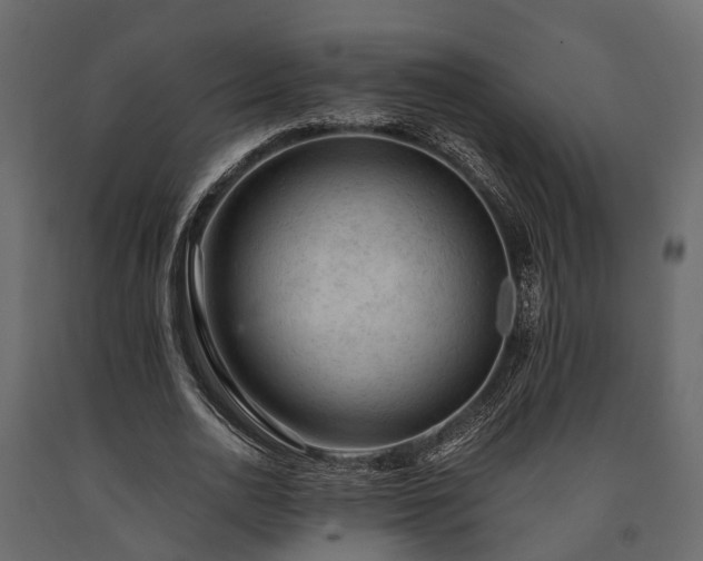 X0000091650726200708231220