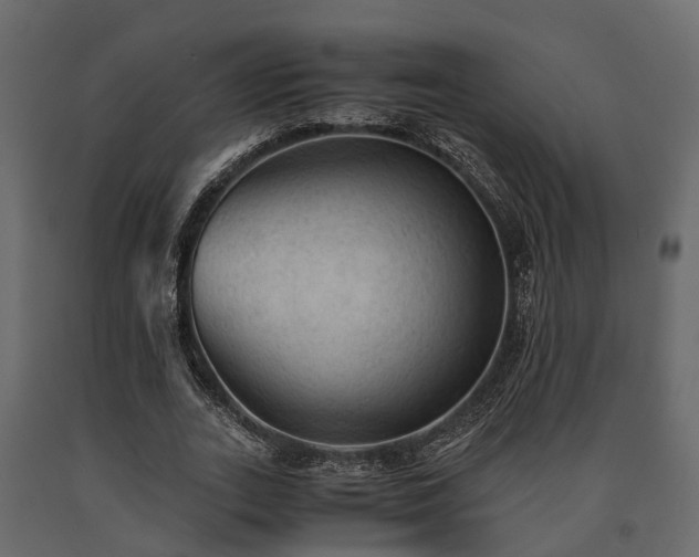 X0000091650727200708231220