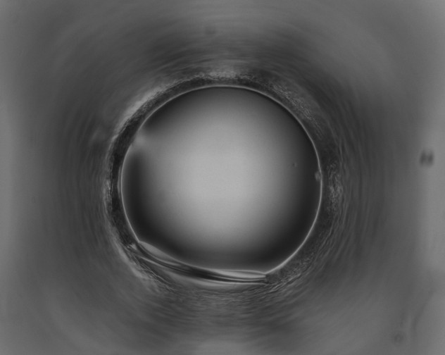 X0000091650728200708231220