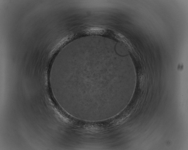 X0000091650729200708231220