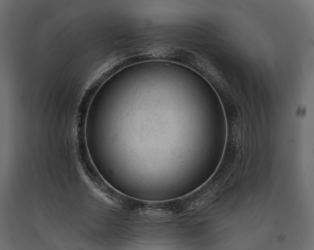 X0000091650730200708231221