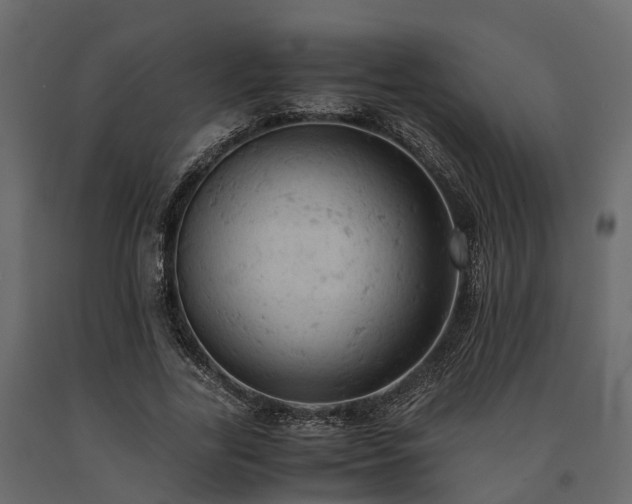 X0000091650731200708231221