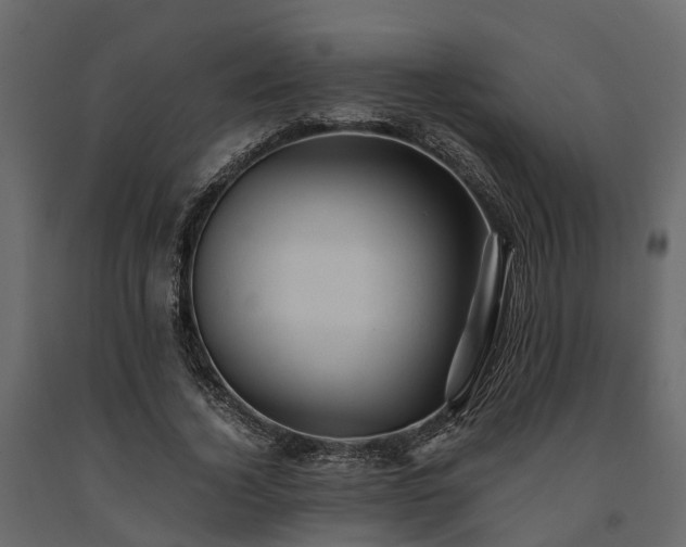X0000091650732200708231221