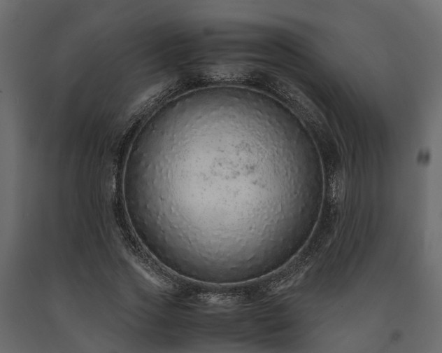 X0000091650733200708231221