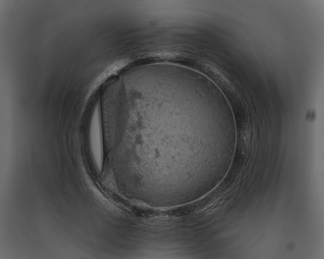 X0000091650734200708231221