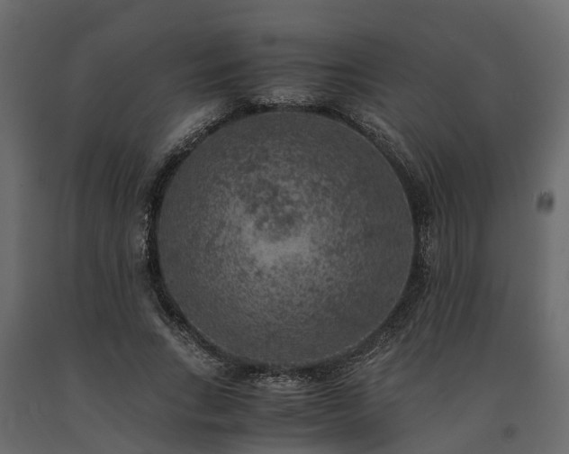 X0000091650735200708231221