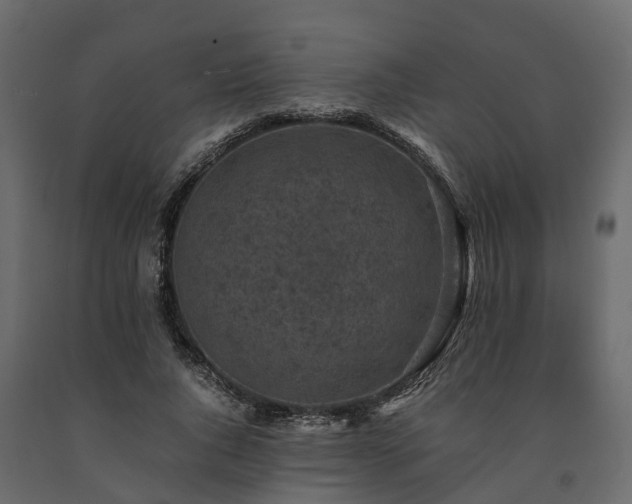 X0000091650736200708231221