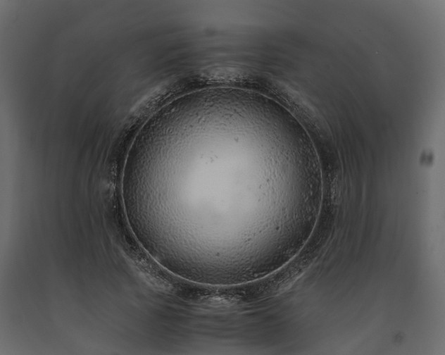 X0000091650737200708231221