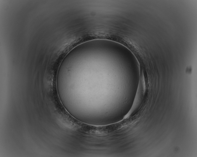 X0000091650739200708231221