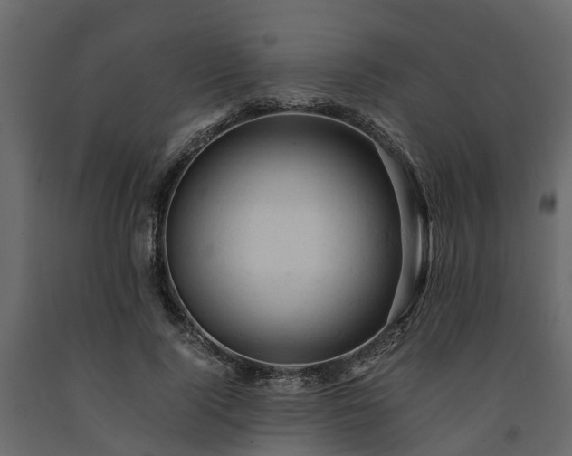 X0000091650740200708231221