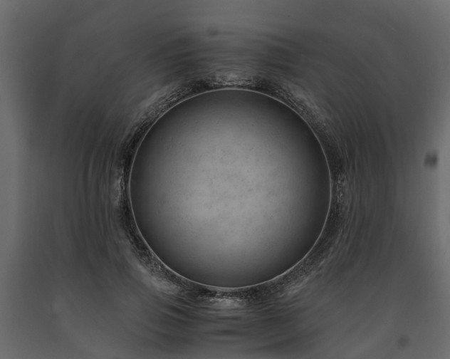X0000091650741200708231221